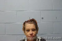 Mugshot of Michele Renee Beliveau booked in Grainger County, Tennessee on October 15, 2026