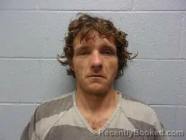 Mugshot of JAMEY LYNN HELTON