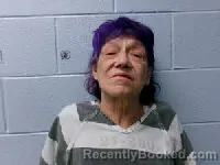 Mugshot of Robin Joann Frazier booked in Grainger County, Tennessee on August 12, 2026