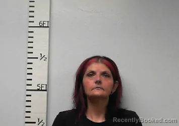 Mugshot of Shevon Nicole Aery booked in Hardin County, Texas on July 29, 2026