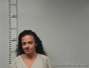 Mugshot of Ashley Nichole Bailey booked in Hardin County, Texas on September 6, 2026
