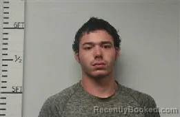 Mugshot of Briar Gage Brister