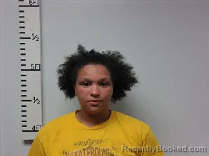 Mugshot of Melody Macie Arie Boykin booked in Hardin County, Texas on July 4, 2026