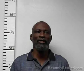 Mugshot of Henry Allen Dill booked in Hardin County, Texas on March 21, 2026