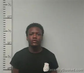 Mugshot of Gecoby Djuan Elam booked in Hardin County, Texas on September 11, 2026