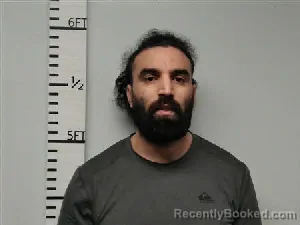 Mugshot of Mahmoud Fuad S Elgadrab booked in Hardin County, Texas on March 21, 2026