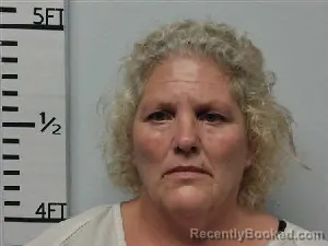 Mugshot of Susan Annette Ferguson booked in Hardin County, Texas on July 16, 2026