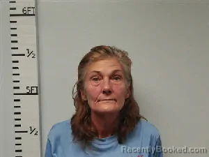 Mugshot of Shawna Marie Hitchcock booked in Hardin County, Texas on September 9, 2026