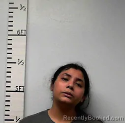 Mugshot of Zakia Hossain booked in Hardin County, Texas on July 12, 2026