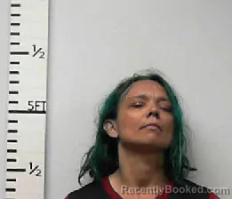 Mugshot of Celenda Gail Lewis-Peppenhorst booked in Hardin County, Texas on April 4, 2026