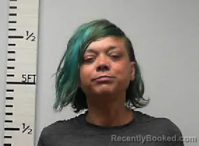 Mugshot of Celenda Gail Lewis-Peppenhorst booked in Hardin County, Texas on June 14, 2026