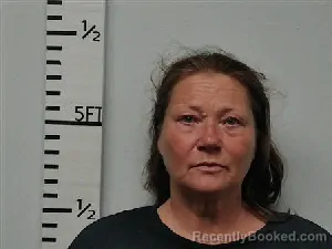 Mugshot of Connie Diane Morgan booked in Hardin County, Texas on July 4, 2026