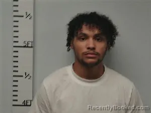 Mugshot of Kaden Shiloh Mcgallion booked in Hardin County, Texas on August 20, 2026