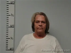 Mugshot of Kathy Ann McDaniel booked in Hardin County, Texas on July 22, 2026