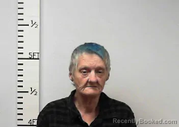 Mugshot of Susan Ann Naquin