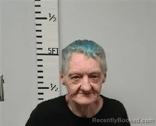 Mugshot of Susan Ann Naquin booked in Hardin County, Texas on September 8, 2026