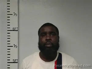 Mugshot of Randle Oghenerukevwe Otohwo booked in Hardin County, Texas on August 21, 2026