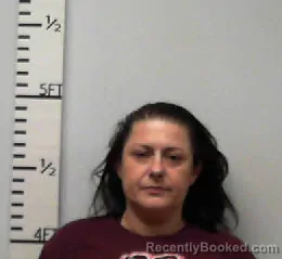 Mugshot of Sara Rebekah Raynes booked in Hardin County, Texas on April 2, 2026