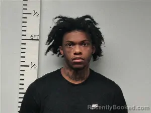 Mugshot of Diante Davon Sostand booked in Hardin County, Texas on March 20, 2026