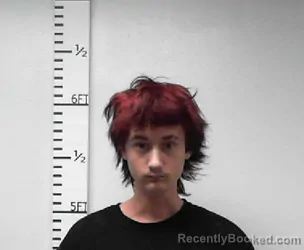 Mugshot of Trent Lee Snipes booked in Hardin County, Texas on September 15, 2026