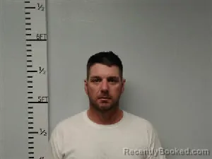 Mugshot of Daniel Ryan Wiggins