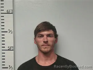 Mugshot of Tristan Kyler Wheeler booked in Hardin County, Texas on July 8, 2026