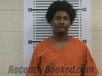 Booking photo from Hardeman County, Tennessee