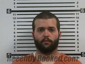 Booking photo from Hardeman County, Tennessee