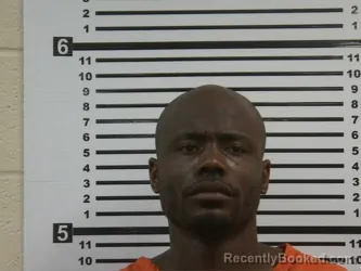 Booking photo from Hardeman County, Tennessee