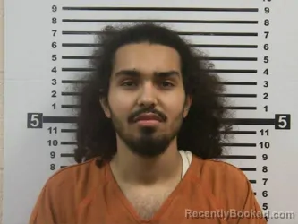 Booking photo from Hardeman County, Tennessee