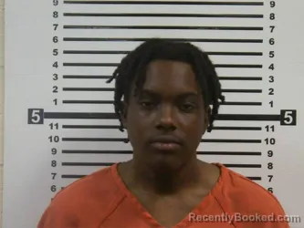 Booking photo from Hardeman County, Tennessee