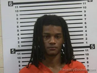 Booking photo from Hardeman County, Tennessee