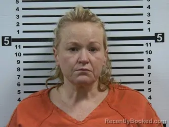 Mugshot of PAIGE NEAL PHEBUS booked in Hardeman County, Tennessee on March 6, 2026