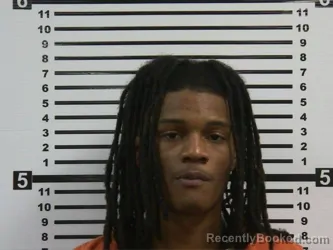 Mugshot of TERRECUS PHILDALE HAMILTON booked in Hardeman County, Tennessee on March 26, 2026