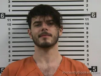 Mugshot of JONATHAN DALLAS EMBRY booked in Hardeman County, Tennessee on March 30, 2026