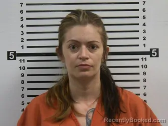 Mugshot of BRITTANY ANN GARZA booked in Hardeman County, Tennessee on April 23, 2026