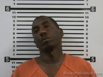Booking photo from Hardeman County, Tennessee