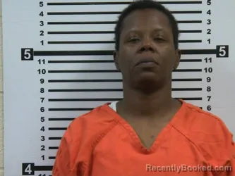 Mugshot of SHANNON SHANTAE BURNETT booked in Hardeman County, Tennessee on June 3, 2026