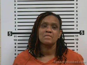 Mugshot of TEMEKA NICOLE MCKINNIE booked in Hardeman County, Tennessee on June 4, 2026