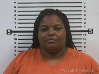 Mugshot of KATRINA MARIE HOLLINGSWORTH booked in Hardeman County, Tennessee on July 2, 2026