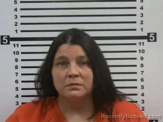 Mugshot of Ashley Gail Burns booked in Hardeman County, Tennessee on August 21, 2026