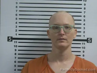 Mugshot of Donald Shane Sipes booked in Hardeman County, Tennessee on August 27, 2026