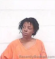 Mugshot of CHELSEA INEZ LURRY BELL booked in Haywood County, Tennessee on April 10, 2026