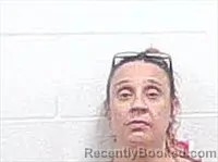 Mugshot of HEATHER LEANN CASTRO booked in Haywood County, Tennessee on April 29, 2026