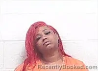 Mugshot of SHERRELL EVETTE FINNIE booked in Haywood County, Tennessee on May 3, 2026