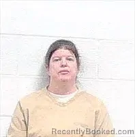 Mugshot of VIRGINA MARIE FLETCHER