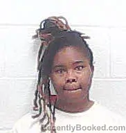 Mugshot of Jokiha Meshelle Horton booked in Haywood County, Tennessee on August 15, 2026