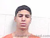 Mugshot of JALEN REED HALLIBURTON