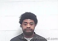 Mugshot of DEMARIO ANTONIO KNOX booked in Haywood County, Tennessee on April 3, 2026