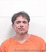 Mugshot of DONNIE RAY KING